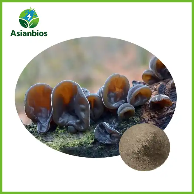 Black Fungus Powder Black Fungus Powder